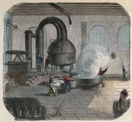Fremstilling af sukker på en fabrik. 1800-tals illustration. Bianchetti samling