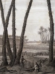 Memphis, udsigt over ruinerne (videnskabsmænd og arbejdende kunstnere) - i "" Beskrivelse af Egypten", Imperial Editions