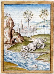 Miniaturedyr fra en tysk oversættelse af fablerne om "" Kalila (Calila) og Dimna"" af Bidpai. Chantilly fra det 15. århundrede, Musee Conde
