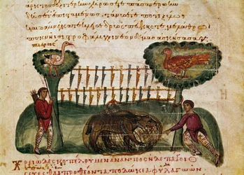 Miniature bjørnejagtscene fra jagten ""The Cynegetics"" af Oppian (Oppian eller Oppianus) fra Syrien (3. århundrede e.Kr.) dedikeret til Caracalla. Venedig fra det 11. århundrede. Marcian Bibliotek