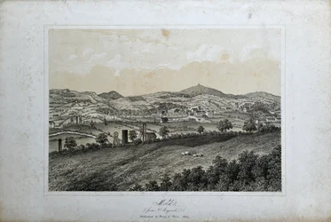 Skimmelsvamp (fra Argoed), ca. 1850 (litho på papir)