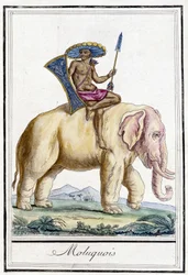 Moluksmand på en elefant (Molukkerne, Indonesien).