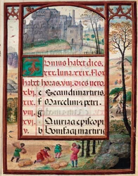 Juni måned: landskab og høst. Bønder på arbejde. Side af manuskriptet "" Timebog" af Manuel I af Portugal (1469-1521) 1517. Lissabon, Museo di Arte Antica