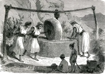 Olivenmølle i Algeriet 1885