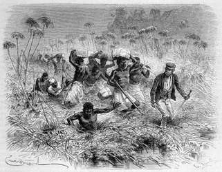 Passage af Chisera af Livingstone og dets portører - "" Livingstones sidste rejse 1866-1873"" i "" Jorden rundt"", 2. sem. 1875