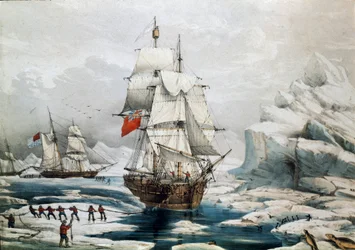 Polar Ekspedition i Arktis: Engelske og amerikanske skibe fanget i is (tryk fra 1800-tallet)