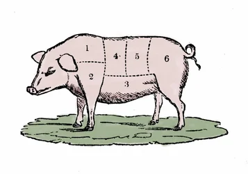 Svinekød udskæringer.