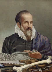 Portræt af Ambroise Paré (1509-1590), fransk kirurg. fra "Science and its Men" af Louis Figuier. Barcelona 1881