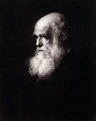 Portræt af Charles Robert Darwin (1809 - 1882)