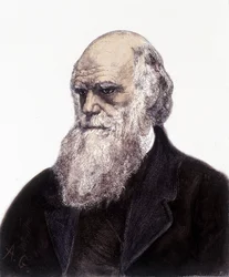Portræt af Charles Robert Darwin, britisk naturforsker (1809-1882)