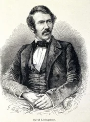 Portræt af David Livingstone, skotsk missionær (1813-1873)