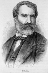 Portræt af Eugene Pelletan (1813-1884), fransk journalist, forfatter og politiker.