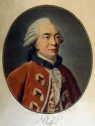 Portræt af Georges Louis Leclerc, greve af Buffon (1707 - 1788), fransk naturforsker og forfatter.