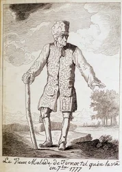 Portræt af Voltaire (1694 - 1778), fransk forfatter og filosof, ældre.
