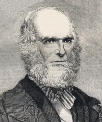 Portræt af William Cullen Bryant (1794-1878), amerikansk digter. Indgravering i "" The illustrated London News "" af 23. januar 1858.
