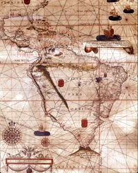 Portulan, der repræsenterer Sydamerika, der tilhører Bartolomeo Velhio. 1561.