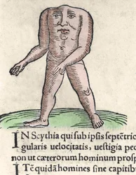 Repræsentation af et medlem af Blemmyi-stammen i Nubien, beskriver uden hoved, uden hals og ansigt på stammen af Plinius den tidligere indgravering fra "Prodigiorum ac ostentorum chronicon"" af Conrad Lycosthenes (1518-1561). 1557.