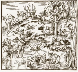 Rhabdomancy - rhabdomancie - Udforskning af et minefelt ved hjælp af spådomsstaven - Mænd skærer og bruger spådomsstave til at lokalisere mineraler - Fra "" De re metallica"" af Georgius Agricola (Georg Bauer), Basel