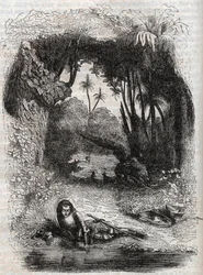 Ruggiero på øen Alcina, - 1851 gravering fra digtet Orlando furioso (1516) af Ludovico Ariosto, - Udgave oversat fra italiensk af greven af Tressan og udgivet af Gustave Harvard 1851