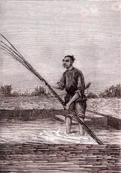 Rustning af den våde bambus, papirfremstilling i Kina (3. århundrede f.Kr.) (gravering)