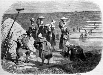 Saltproduktion: kvinder, der arbejder i strandenge. 1800-tals gravering