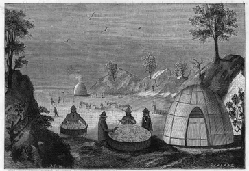 Samisk troldmand forudsiger fremtiden ved hjælp af en magisk tromme. Gravering fra 1885.
