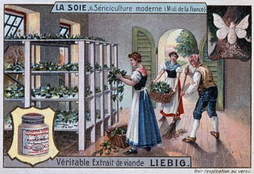 Silke: silkeværksted i Sydfrankrig, Liebig-reklame, v. 1895