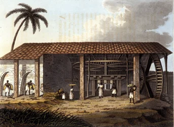 Sukkermølle, Antille