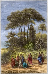 The School of Pythagoras - Pythagoras blandt hans elever i Crotona - gravering 1879 - Filosoffen Pythagoras og hans disciple under skraveringen af Crotone, gravering af 1879