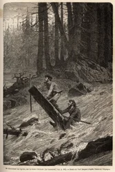 Forfatteren og hans rejsende, Mcdonald, går ned af strømfaldene på Nittinaht-floden (Vancouver Island) på en midlertidig tømmerflåde. Gravering for at illustrere rejsen og eventyrene i engelsk Colombia, Vancouver Island og Alaska, af Frederick Whymper