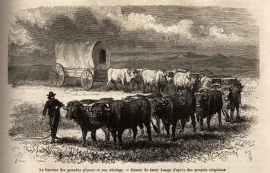 De store sletter styrer og dens hitch. Gravering til illustration af turen til det amerikanske fjernvest, af M. L. Simonin, i 1867, udgivet i "Le tour du monde, nouveau journal des voyages", redigeret af Edouard Charton