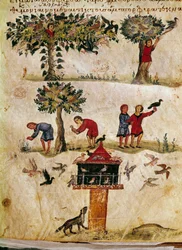 Opdræt og træning af miniaturefalke fra jagten på ""The Cynegetics"" fra Oppian (Oppian eller Oppianus) i Syrien (3. århundrede e.Kr.) dedikeret til Caracalla. Venedig fra det 11. århundrede. Biblioteca Marciana