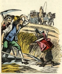 Katten tvinger bønderne til at sige, at marken, hvor de slår hveden, tilhører Marquis de Carabas. Illustration af fortællingen "The cat botte" af Charles Perrault