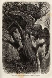 Ørnen beskytter sin rede mod ubuden gæst. Gravering for at illustrere historien Quatre mois en Florida, af M. Pousselgue, i 1851-1852, udgivet i "" le tour du monde"", under ledelse af D