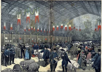 Den almindelige landbrugskonkurrence i Paris - 14. marts