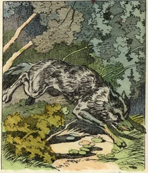 Ulven løber til bedstemors hus. Illustration af fortællingen "Den Lille Rødhætte" af Charles Perrault