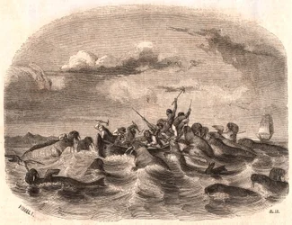 Udsigt over en gruppe engelske sømænd, der jagtede en flok hvalrosser i 1818 ud for Spitsbergens kyst