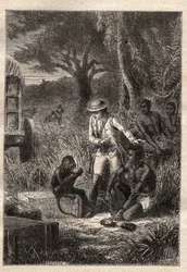 Voyage dans la Caffrerie (Sydafrika) (1781) af Francois Levaillant (Le Vaillant) (1753-1824): Levaillant og hans abe degustateur Maitre Kees, der smager på frugterne og rødderne for at verificere, at de er spiselige - illustration hentet fra "" Les Gra