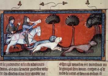 Wolf Hunt Miniature fra manuskript fr. 1297 "" bog af Kong Modus og Dronning Ratio" af Henri de Ferrieres (14. århundrede)