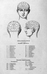 illustration fra Charles Rouvins bog fra 1873 Organographie La Tête humaine, illustrerede undersøgelser af frenologi og fysionomi anvendt på berømte karakterer Paris 1873