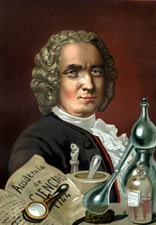 Portræt af Guillaume Francois Rouelle. Fransk kemiker (Mathieu, nær Caen