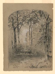 Tegning, studie af skovområde, 1865-70