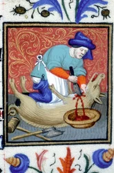 Allegorisk fremstilling af december. En slagter dræber en gris. Miniature af et manuskript fra det 14. århundrede.