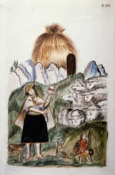 En indisk hyrdinde nær sin hytte med sin flok, fra bogen "Trujillo del Peru" eller "Codex Martinez Companion", af Baltazar Martinez Companion og Bujanda, biskop af Trujillo (1782-1785)