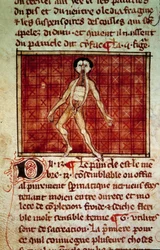 Anatomisk figur: skræl, bryst åben. Miniature fra manuskriptet "" Kirurgi" (Folio 11v) skrevet af Henri de Mondeville (kirurg hos Philippe Le Bel professor i anatomi)