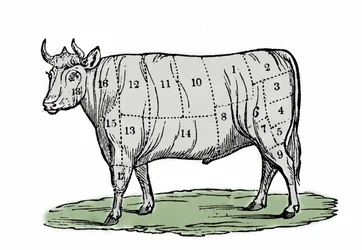 Anonym illustration af slutningen af det 19. århundrede.