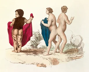 "Buffons samlede værker": Menneskets naturhistorie: ung sort person med hirsutisme og siameser (gravure)