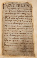 Bomuld Vitellius A.XV..132 Beowulfs begyndelse