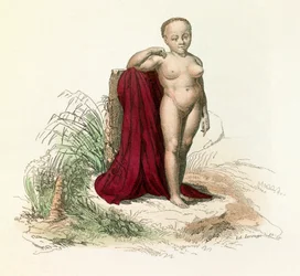 Illustration fra bogen "Buffons samlede værker": Menneskets naturhistorie: Hvid sort kvinde