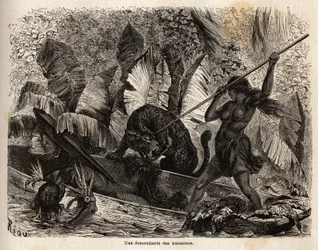 Indisk ticuna (Peru), der med et spyd angriber en tiger, der lige er hoppet ind i sin kano og sårede sin kammerat, ticunaerne ved Nhamondas-floden er velrenommerede for deres krigerkoner, så de første rejsende og lærde, der observerede dem, kaldte dem Amaz